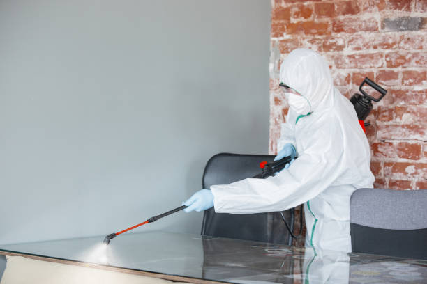 Reliable Kootenai, ID Mold Removal Services Solutions